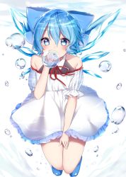 Rule 34 | 1girl, air bubble, alternate costume, bad id, bad pixiv id, bare shoulders, blue bow, blue eyes, blue footwear, blue hair, blush, bow, bubble, cirno, collarbone, commentary request, dress, full body, hair bow, highres, ice, ice wings, neck ribbon, ribbon, shinonome asu, shoes, short sleeves, solo, touhou, underwater, white dress, wings