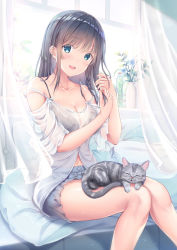 Rule 34 | 1girl, :d, animal, animal on lap, bare legs, bare shoulders, black bra, black hair, blue eyes, blue shorts, blush, bra, braid, breasts, cat, cleavage, collarbone, couch, curtains, day, flower, highres, large breasts, lingerie, long hair, looking at viewer, navel, on couch, on lap, open mouth, original, pillow, resolution mismatch, see-through, shirakawako, shirt, short shorts, shorts, sidelocks, sitting, smile, solo, source larger, sunlight, thighs, underwear, vase, white shirt, window