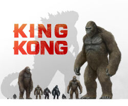 Rule 34 | ape, assault rifle, character name, crossover, dino de laurentiss corporation, dinosaur, dual persona, eatalllot, giant, giant monster, godzilla, godzilla (series), godzilla vs. kong, gorilla, gun, highres, kaijuu, king kong, king kong (1933), king kong (1976), king kong (2005), king kong (series), king kong escapes, king kong lives, king kong vs. godzilla, kong: skull island, legendary pictures, monster, monsterverse, multiple persona, muscular, pectorals, rankin/bass animated entertainment, rifle, rko radio pictures, scar, scar on chest, silhouette, simple background, size chart, size comparison, size difference, soldier, spikes, tail, toho, universal studios, weapon, white background