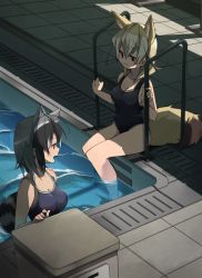 Rule 34 | 2girls, alternate costume, animal ears, bare arms, bare legs, bare shoulders, barefoot, black hair, blonde hair, blue one-piece swimsuit, commentary request, common raccoon (kemono friends), expressionless, extra ears, fang, fennec (kemono friends), fox ears, fox girl, fox tail, grey hair, highres, kemono friends, multicolored hair, multiple girls, nanana (nanana iz), one-piece swimsuit, open mouth, pool, raccoon ears, raccoon girl, raccoon tail, short hair, sitting, swimming, swimsuit, tail, white hair