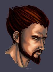 Rule 34 | beard, brown eyes, brown hair, facial hair, game console, kanzas, male focus, serious, the legend of dragoon