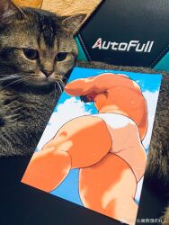 Rule 34 | 1boy, ass, bara, black hair, blush, cat, facing down, facing viewer, feet out of frame, foreshortening, from below, highres, large pectorals, male focus, male swimwear, muscular, muscular male, nipples, original, pectorals, photo (medium), r.l (2089184064), short hair, shy, solo, standing, swim briefs, thick eyebrows, thick thighs, thighs, topless male, wet, white male swimwear