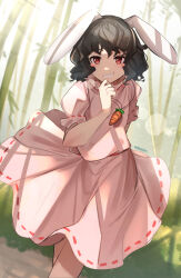 Rule 34 | 1girl, animal ears, artist name, bamboo, bamboo forest, black hair, carrot necklace, daweykun, dress, forest, hand on own chin, highres, inaba tewi, jewelry, nature, necklace, pink dress, rabbit ears, red eyes, short hair, short sleeves, smile, solo, touhou