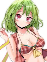 Rule 34 | 1girl, ascot, bare arms, bikini, blush, breasts, checkered bikini, checkered clothes, cleavage, collarbone, flower, front-tie top, green hair, highres, kazami yuuka, large breasts, looking at viewer, open clothes, open vest, plaid, plaid bikini, red bikini, red eyes, ribbon, shiny skin, simple background, solo, sunflower, swimsuit, touhou, underboob, upper body, velia, vest, white background
