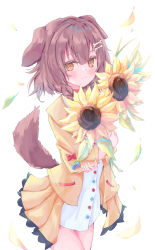 Rule 34 | 1girl, alternate eye color, animal ears, blue nails, blush, bone hair ornament, braid, brown eyes, brown hair, choker, closed mouth, commentary, cowboy shot, crossed arms, dog ears, dog girl, dog tail, dress, eyelashes, flower, hair ornament, highres, holding, holding flower, hololive, inugami korone, inugami korone (1st costume), jacket, looking at viewer, medium hair, nail polish, off shoulder, red choker, shin murasame, side braids, simple background, sleeveless, sleeveless dress, smile, solo, sunflower, tail, thighs, twin braids, virtual youtuber, white background, white dress, wristband, yellow jacket