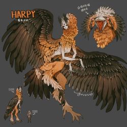 Rule 34 | 1boy, 1girl, bird legs, bracelet, breasts, brown feathers, claws, commentary, extra eyes, feathers, harpy, head wings, highres, jewelry, juanmao, monster girl, multiple views, open mouth, orange feathers, original, size comparison, small breasts, talons, wings