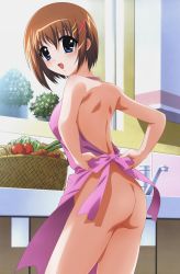 Rule 34 | 00s, 1girl, absurdres, apron, ass, blue eyes, breasts, brown hair, cooking, highres, lyrical nanoha, mahou shoujo lyrical nanoha, mahou shoujo lyrical nanoha strikers, medium breasts, naked apron, no bra, no panties, nude filter, solo, third-party edit, yagami hayate