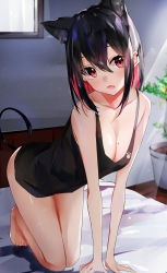 Rule 34 | 1girl, absurdres, animal ear fluff, animal ears, barefoot, black hair, black tank top, breasts, cat ears, cat girl, cat tail, cleavage, colored inner hair, commentary request, fang, hair between eyes, highres, kneeling, medium breasts, mole, mole on breast, multicolored hair, nanashinayuzu mochi, open mouth, original, red hair, short hair, skin fang, solo, tail, tank top