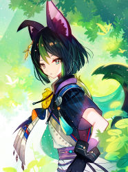Rule 34 | 1boy, animal ear fluff, animal ears, black gloves, black hair, black shirt, commentary request, day, genshin impact, gloves, green hair, hair between eyes, highres, juexing (moemoe3345), male focus, multicolored hair, outdoors, parted bangs, parted lips, shirt, short sleeves, solo, streaked hair, tail, tighnari (genshin impact), wide sleeves
