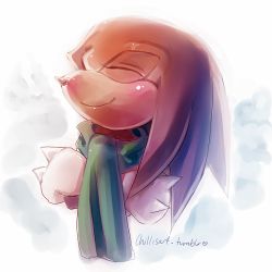 Rule 34 | 1boy, artist name, blush, closed mouth, crossed arms, closed eyes, furry, furry male, gloves, green scarf, happy, heart, knuckles the echidna, long hair, male focus, nose blush, red hair, scarf, simple background, sketch, smile, solo, sonic (series), spacecolonie, tumblr username, upper body, white background, white gloves