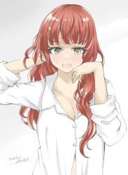 Rule 34 | 1girl, blunt bangs, breasts, cleavage, collared shirt, de ruyter (kancolle), dress shirt, gakky, green eyes, highres, kantai collection, medium breasts, messy hair, one-hour drawing challenge, red hair, shirt, solo, upper body, white shirt