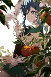 Rule 34 | 1boy, apple, arm at side, bird, bird on hand, black bow, black bowtie, black corset, blue hair, blurry, bow, bowtie, braid, cape, cha hanare, closed mouth, collared cape, corset, cowboy shot, depth of field, flower, food, frilled sleeves, frills, fruit, genshin impact, gradient hair, green cape, green eyes, green shorts, hair flower, hair ornament, hand up, highres, leaf, long sleeves, looking at animal, male focus, multicolored hair, pantyhose, puffy shorts, shade, shirt, short hair, short hair with long locks, shorts, side braids, simple background, smile, solo, striped bow, striped bowtie, striped clothes, twin braids, venti (genshin impact), vision (genshin impact), white background, white bird, white flower, white pantyhose, white shirt, yellow bow, yellow bowtie