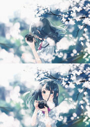 Rule 34 | 1girl, 2koma, absurdres, black hair, blurry, bow, bowtie, camera, cherry blossoms, comic, crying, crying with eyes open, depth of field, film grain, hechima (issindotai), highres, huge filesize, lens flare, long hair, looking at viewer, looking away, original, school uniform, solo, tearing up, tears, tree, uniform, wind
