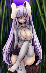 Rule 34 | 1girl, animal ears, bamboo, bamboo forest, blush, bra, breasts, cleavage, cleft of venus, covered erect nipples, feet, female focus, forest, large breasts, lingerie, long hair, nature, night, no panties, okiraku nikku, open clothes, open shirt, panties, panties around leg, purple hair, pussy, pussy peek, rabbit ears, rabbit girl, rabbit tail, red eyes, reisen udongein inaba, shirt, sitting, skirt, smile, solo, tail, thighhighs, touhou, uncensored, underwear, very long hair, white bra, white thighhighs