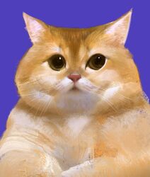 Rule 34 | animal, animal focus, black eyes, blue background, brown eyes, cat, close-up, commentary, faux traditional media, highres, looking at viewer, no humans, orange cat, original, portrait, purple background, realistic, simple background, solo, straight-on, symbol-only commentary, whiskers, yuming li