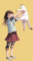 Rule 34 | 1girl, :d, animal, arms up, black pants, blue shirt, blush, brown eyes, brown hair, cat, denim, full body, hair bobbles, hair ornament, highres, holding, holding animal, holding cat, jeans, long hair, looking away, midriff peek, open mouth, original, outstretched arms, pants, pants under skirt, pleated skirt, red skirt, shirt, simple background, skirt, smile, socks, solo, striped clothes, striped socks, tunapon01, white cat, yellow background