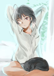 Rule 34 | 1girl, amagami, animal, animal on lap, arms behind head, arms up, black cat, black eyes, blush, bottomless, brown eyes, cat, cat on lap, collarbone, commentary, dress shirt, hair strand, indian style, crossed legs, messy hair, murasaki iro, nanasaki ai, on lap, one eye closed, parted lips, pocket, puu (amagami), see-through silhouette, shirt, short hair, sitting, solo, stretching, white shirt