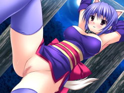 Rule 34 | 1girl, animal ears, ayane (doa), breasts, censored, cleavage, cloud, collar, dead or alive, female focus, moon, night, outdoors, plant, pussy, sky, solo, standing, tail, tecmo, tree