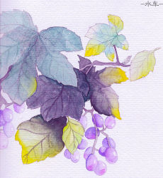 Rule 34 | berry, leaf, mw, no humans, original, painting (medium), traditional media, watercolor (medium)