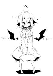 Rule 34 | 1girl, ahoge, animal ears, barefoot, character name, detached wings, dress, female focus, full body, greyscale, kuroneko no toorimichi, looking at viewer, messy hair, monochrome, mystia lorelei, short hair, simple background, sketch, solo, touhou, v arms, white background, wings
