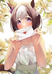 Rule 34 | 1girl, animal ears, brown hair, casual, collarbone, commentary, covering own mouth, dress, highres, holding, holding letter, horse ears, horse girl, horse tail, letter, long hair, minertime, multicolored hair, purple eyes, short hair, sleeveless, sleeveless dress, solo, special week (umamusume), streaked hair, tail, umamusume, white dress, white hair