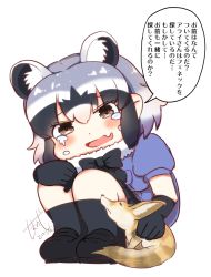 Rule 34 | 10s, 1girl, animal, animal ears, black bow, black bowtie, black footwear, black gloves, black hair, black socks, blue shirt, blush, bow, bowtie, brown eyes, common raccoon (kemono friends), dated, fang, full body, gloves, grey hair, highres, kemono friends, kneehighs, loafers, looking down, multicolored hair, open mouth, puffy short sleeves, puffy sleeves, raccoon ears, shimanoji, shirt, shoes, short hair, short sleeves, signature, simple background, skirt, smile, socks, speech bubble, squatting, talking, tears, translation request, watery eyes, white background, white hair