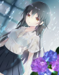 Rule 34 | 1girl, bitter crown, black hair, black skirt, blue flower, blush, breasts, brown eyes, cleavage, collared shirt, commentary request, dress shirt, dutch angle, flower, hair between eyes, hydrangea, long hair, medium breasts, original, parted lips, pleated skirt, purple flower, rain, shirt, skirt, solo, very long hair, wet, white shirt, window