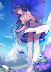Rule 34 | 1girl, alternate costume, bare shoulders, blue sky, blush, braid, breasts, cleavage, closed mouth, clothes lift, cloud, day, dress, dress lift, flower, hair ornament, high heels, highres, holding, holding umbrella, honkai (series), honkai impact 3rd, ice (icepuli), large breasts, leaning forward, lifting own clothes, long hair, looking at viewer, outdoors, panties, purple eyes, purple flower, purple hair, raiden mei, raiden mei (valkyrie bladestrike), sky, sleeveless, sleeveless dress, smile, solo, thighhighs, umbrella, underwear, very long hair, white dress, white footwear, white panties, white thighhighs, wind