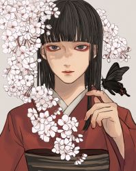 Rule 34 | 1girl, black butterfly, blunt bangs, branch, brown eyes, brown hair, brown sash, bug, butterfly, butterfly on hand, cherry blossoms, closed mouth, commentary, expressionless, fingernails, flower, hand up, highres, insect, japanese clothes, kagoya1219, kimono, long hair, looking at viewer, obi, original, red kimono, sash, simple background, solo, upper body, white background, white flower