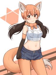 Rule 34 | 1girl, animal ears, arm at side, bare shoulders, black gloves, black hair, black shorts, blush, brown eyes, commentary, cowboy shot, crop top, cutoffs, elbow gloves, extra ears, gloves, gradient gloves, highres, kemono friends, pantyhose under shorts, looking at viewer, low twintails, maned wolf (kemono friends), midriff, multicolored hair, navel, orange gloves, orange hair, orange pantyhose, pantyhose, shiraha maru, shirt, short shorts, shorts, simple background, sleeveless, sleeveless shirt, smile, solo, split mouth, tail, twintails, white shirt, wolf ears, wolf girl, wolf tail