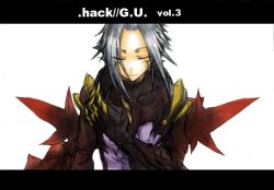 Rule 34 | .hack//, .hack//g.u., 00s, armor, bandai, cyber connect 2, hack, haseo, white hair