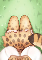 Rule 34 | 10s, 1girl, blurry, bow, bowtie, breasts, commentary request, cross-laced clothes, day, depth of field, female pov, from above, head out of frame, high-waist skirt, highres, kemono friends, large breasts, looking down, on ground, orange bow, orange bowtie, orange skirt, orange thighhighs, outdoors, pov, pov breasts, print bow, print bowtie, print neckwear, print skirt, print thighhighs, re-arusu, seiza, serval (kemono friends), serval print, serval tail, shirt, sitting, skirt, solo, tail, thighhighs, white shirt, zettai ryouiki