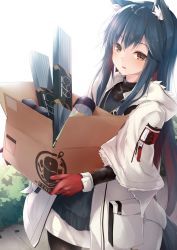 Rule 34 | 1girl, animal ear fluff, animal ears, arknights, black hair, black shirt, blush, box, brown eyes, cardboard box, commentary request, cowboy shot, gloves, highres, holding, holding box, jacket, long hair, long sleeves, looking at viewer, official alternate costume, parted lips, partial commentary, pocket, red gloves, shirt, sidelocks, smile, solo, standing, texas (arknights), texas (winter messenger) (arknights), white jacket, wide sleeves, wolf ears, yuki kawachi