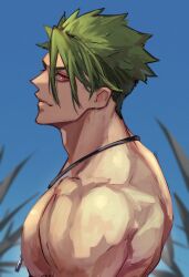Rule 34 | 1boy, achilles (fate), blue sky, blurry, blurry background, closed mouth, fate/apocrypha, fate (series), from side, green hair, hair between eyes, haruakira, highres, jewelry, large pectorals, looking at viewer, male focus, mature male, muscular, muscular male, necklace, outdoors, pectorals, red eyes, short hair, sky, solo, undercut, upper body