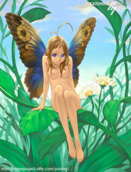 Rule 34 | 1girl, antenna hair, artist name, blue eyes, breasts, brown hair, butterfly wings, cloud, day, fairy, flower, insect wings, leaning, legs together, long hair, looking at viewer, mini person, minigirl, nipples, nude, outdoors, plant, sitting, sky, solo, watermark, web address, wings, yuuki katsuhiko