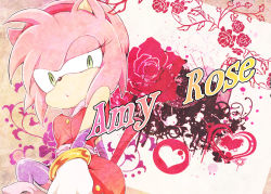Rule 34 | 1girl, amy rose, furry, gloves, sega, sonic (series)