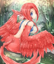 Rule 34 | 1girl, ass, back, bare back, blue eyes, feathered wings, feathers, female focus, from behind, hair over one eye, harpy, highres, looking back, monster girl, nature, original, outdoors, pippi (artist), red hair, solo, wings
