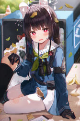 Rule 34 | 1girl, absurdres, ahoge, animal ears, bandaid, binoculars, black gloves, black hair, blue archive, blue shirt, blue skirt, bright pupils, embarrassed, fake animal ears, flying sweatdrops, gloves, hairband, halo, haneiro, highres, holding hands, huge filesize, leaf, long hair, long sleeves, looking at viewer, miniskirt, miyu (blue archive), neckerchief, open mouth, outdoors, pantyhose, pleated skirt, pov, pov hands, red eyes, sailor collar, shirt, sitting, skirt, solo focus, torn clothes, torn legwear, wavy mouth, white pantyhose, yokozuwari