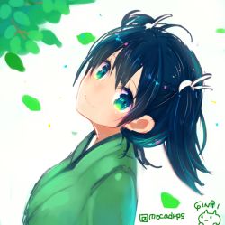 Rule 34 | 10s, 1girl, black hair, branch, green eyes, hair ribbon, japanese clothes, kantai collection, leaf, looking at viewer, ribbon, shirayuki ginri, short twintails, signature, sketch, smile, solo, souryuu (kancolle), twintails, twitter username