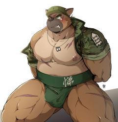 Rule 34 | 1boy, abs, alternate costume, animal ears, bara, bare pectorals, blush, bound, bound wrists, brown fur, bulge, camouflage, camouflage jacket, dog boy, dog tags, drooling, facial scar, fox boy, fox ears, frown, green eyes, green hat, hat, highres, jacket, kneeling, large pectorals, looking up, male focus, mikky, muscular, muscular male, navel, nipples, official art, open clothes, open jacket, peaked cap, pectorals, scar, scar on cheek, scar on chest, scar on face, short hair, single bare shoulder, solo, stomach, sumo, tearing up, thick eyebrows, thick thighs, thighs, tokyo houkago summoners, yasuyori (housamo)