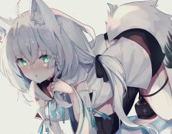Rule 34 | 1girl, ahoge, all fours, animal ear fluff, animal ears, black bow, black shorts, black thighhighs, blue neckerchief, blush, bow, braid, commentary request, detached sleeves, fox ears, fox girl, fox tail, green eyes, hair between eyes, hair bow, highres, hololive, hood, hoodie, izayoiyu, long hair, looking at viewer, neckerchief, open mouth, shirakami fubuki, shirakami fubuki (1st costume), short shorts, shorts, sidelocks, simple background, single braid, single thighhigh, solo, tail, thigh strap, thighhighs, virtual youtuber, wet, white background, white hair, white hoodie