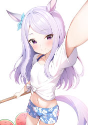 Rule 34 | 1girl, absurdres, alternate costume, animal ears, aqua bow, blue bow, blue shorts, bow, closed mouth, commentary request, cowboy shot, ear bow, floral print, food, fruit, gaze on me! outfit (umamusume), highres, horse ears, horse girl, horse tail, long hair, looking at viewer, mejiro mcqueen (umamusume), midriff, navel, print shorts, purple eyes, purple hair, rei (ilust9999), selfie, shirt, short sleeves, shorts, simple background, smile, solo, tail, tied shirt, umamusume, watermelon, white background, white shirt