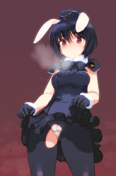 Rule 34 | 1girl, animal ears, black footwear, black gloves, black hair, black pantyhose, brave witches, cameltoe, cleft of venus, clothes lift, commentary request, dress, dress lift, garrison cap, gloves, hat, idol, panties, pantyhose, rabbit ears, rabbit girl, red eyes, ribbon, shimada fumikane, shimohara sadako, torn clothes, torn legwear, underwear, white panties, world witches series