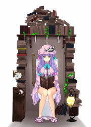 Rule 34 | 1girl, bare legs, blue eyes, book, bow, crescent, female focus, hair bow, hair ornament, hat, lamp, leaf, long hair, nabeshima tetsuhiro, open book, panties, panties around ankles, panty pull, patchouli knowledge, plant, purple hair, reading, sitting, slippers, solo, striped clothes, striped panties, toilet, toilet paper, toilet use, touhou, underwear, vase