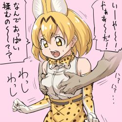 Rule 34 | 10s, 1girl, animal ears, animal print, bare shoulders, blonde hair, bow, bowtie, grabbing another&#039;s breast, cross-laced clothes, disembodied limb, elbow gloves, extra ears, gloves, grabbing, hair between eyes, kemono friends, ogry ching, open mouth, pink background, serval (kemono friends), serval print, shirt, sleeveless, sleeveless shirt, solo focus, teeth, tongue, translation request, yellow eyes