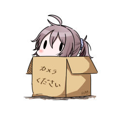 Rule 34 | 10s, 1girl, 2017, aoba (kancolle), box, cardboard box, dated, hatsuzuki 527, in box, in container, kantai collection, ponytail, purple hair, scrunchie, short hair, simple background, solid oval eyes, solo, translated, twitter username, white background