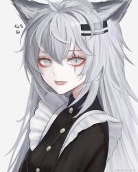 Rule 34 | 1girl, animal ears, apron, arknights, black shirt, breasts, collared shirt, commentary, fangs, frilled apron, frills, grey eyes, grey hair, hair between eyes, hair ornament, hairclip, highres, lappland (arknights), long hair, long sleeves, looking at viewer, open mouth, scar, scar across eye, shirt, simple background, small breasts, smile, solo, teeth, thehprm, twitter username, upper body, white apron, white background, wolf ears, wolf girl