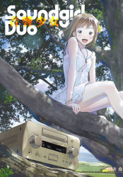 Rule 34 | 1girl, artist request, blush, cover, female focus, jewelry, jpeg artifacts, kenwood, looking at viewer, original, outdoors, sitting, solo, soundgirl duo, tagme