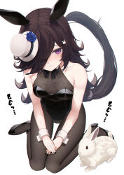 Rule 34 | 1girl, absurdres, animal ears, black bow, black bowtie, black leotard, black nails, black pantyhose, blue flower, blue rose, bow, bowtie, breasts, brown hair, commentary request, flower, hair ornament, hair over one eye, hat, hat flower, high heels, highres, horse ears, horse girl, horse tail, inui (inuiw ), lace, leotard, long hair, looking at viewer, pantyhose, playboy bunny, purple eyes, rabbit, rabbit hair ornament, rice shower (umamusume), rose, sitting, small breasts, solo, tail, tilted headwear, translated, umamusume, wariza, white background, white hat, wrist cuffs