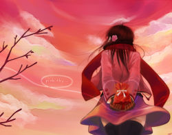 Rule 34 | 1girl, arms behind back, bad id, bad pixiv id, black thighhighs, brown hair, cloud, from behind, gift, gloves, long hair, namisaki yuka, original, red sky, scarf, sky, solo, sunset, thighhighs, valentine, zettai ryouiki